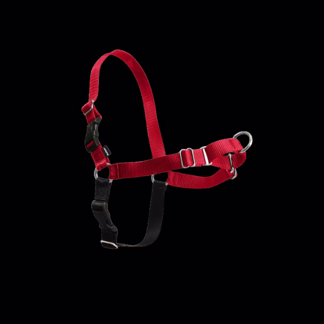 PetSafe Easy Walk kutyahám