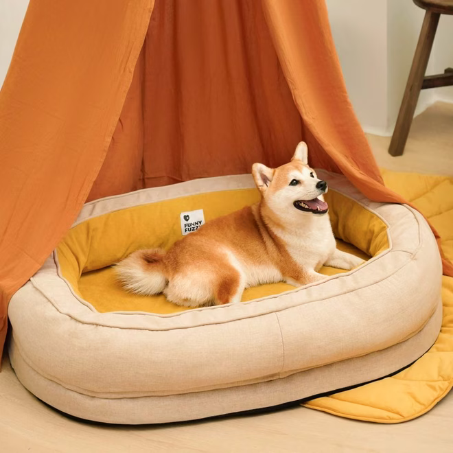 Shiba Inu Hund im gelben Donut-Hundebett von FunnyFuzzy.