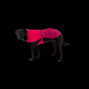 Ruffwear kutya esőkabát