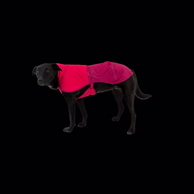 Ruffwear kutya esőkabát