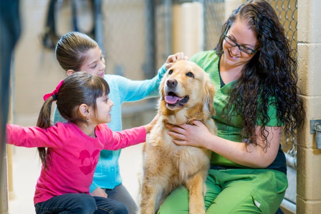 Kinder wieder vereint mit Golden Retriever im Tierheim am 5. Juli