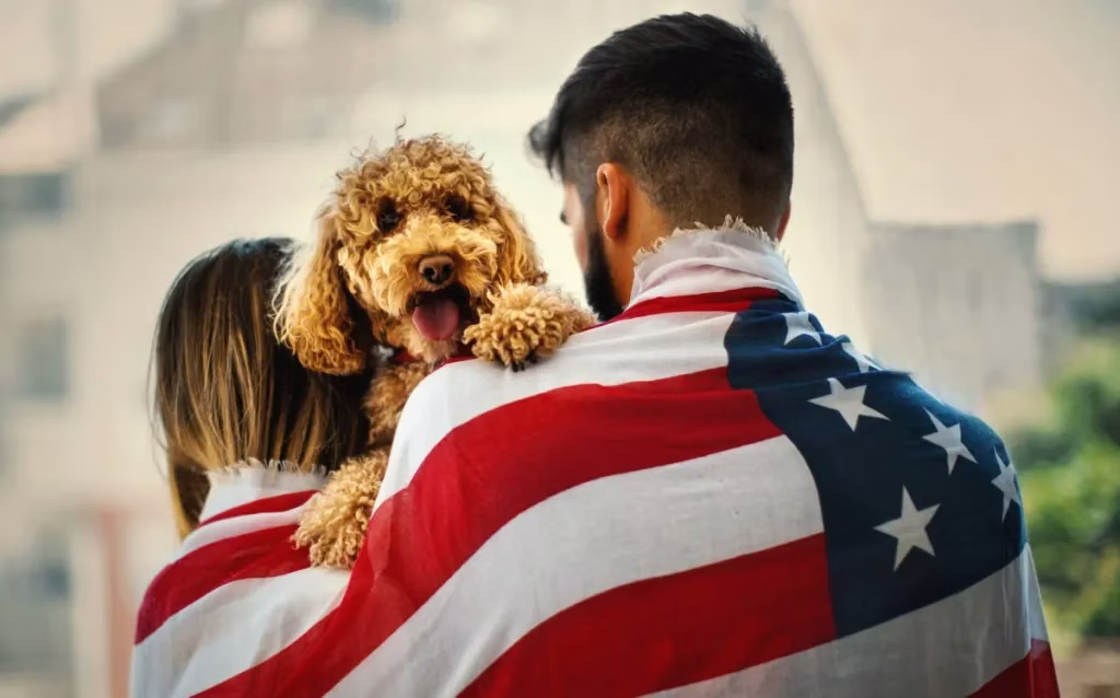 Der Tag nach dem 4. Juli ist für US-Tierheime der geschäftigste Tag des Jahres