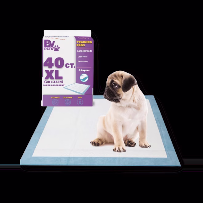 BV XL Welpenpads