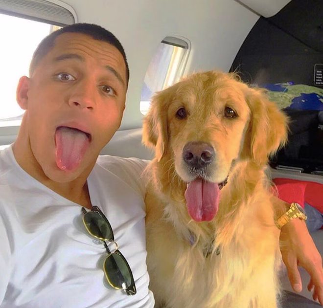 SanchezHunde