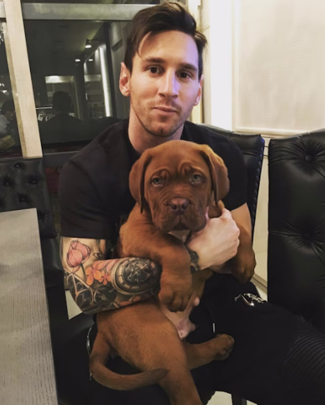 MessiHund