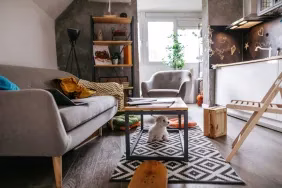 Kleiner, ruhiger, flauschiger Malteser, der unter dem Tisch in einer modernen Wohnung sitzt.