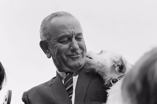 Lyndon B. Johnson amerikai elnök (1908 - 1973) bemutatja házi kedvenc kutyáját, Yukit egy vidéki vásáron a Fehér Ház déli gyepén, Washington, 1967 szeptemberében.
